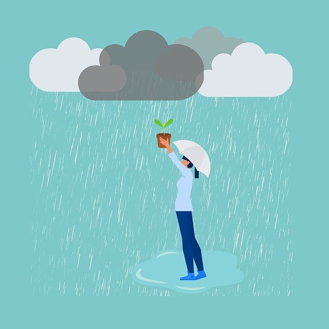 woman_plant_rain